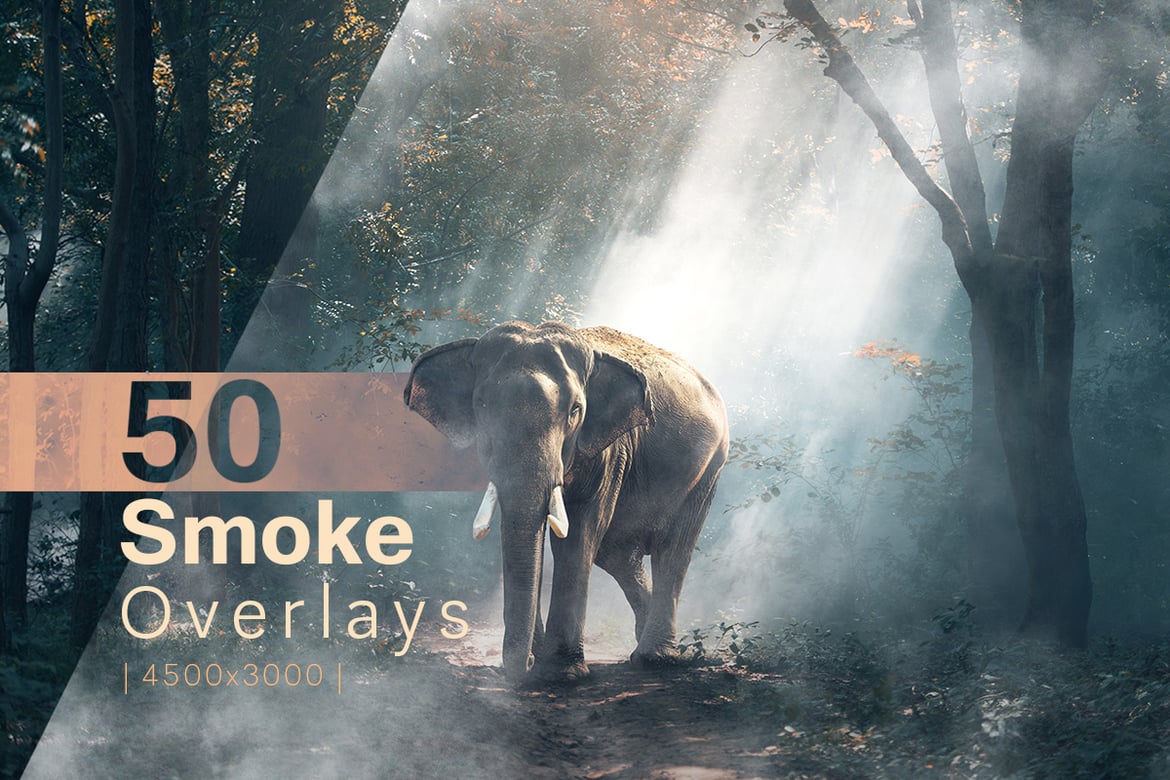 50 Smoke Overlays（402621）-技能树